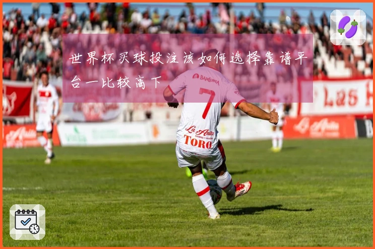 世界杯买球投注该如何选择靠谱平台一比较高下