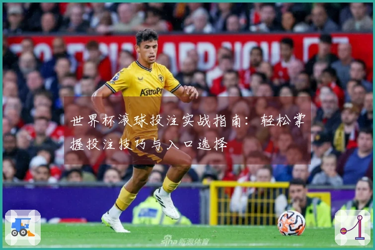 世界杯滚球投注实战指南：轻松掌握投注技巧与入口选择