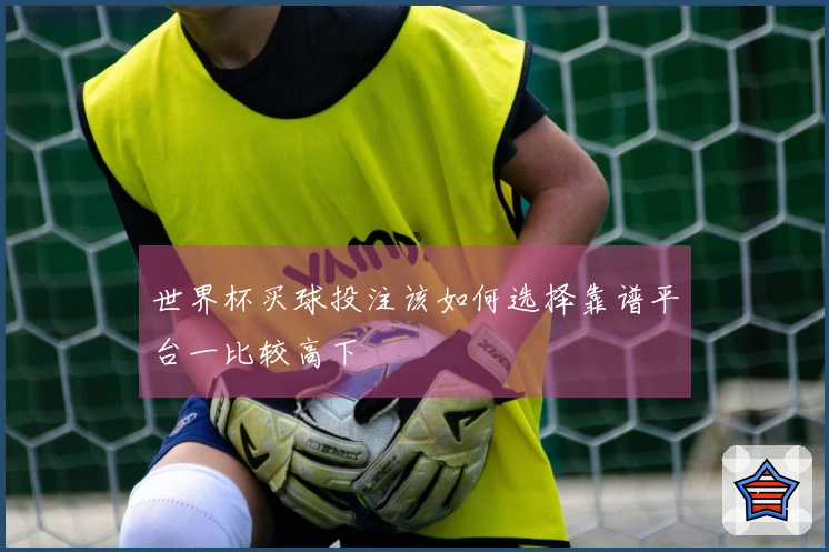 世界杯买球投注该如何选择靠谱平台一比较高下